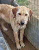 Tina sucht ein passendes Zuhause