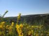 Mai 2025 Eifel-Urlaub 2 Fewo frei