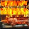 Spanferkelgrill Vermietung 