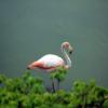 Galapagos Große Kreuzfahrt mit MS SANTA CRUZ,  10 Tage