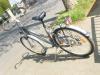 (44) 21 Gang 26 Zoll Rh 46 mit Nabendynamo Gabel gefedert CANOGA