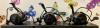 3 x Daiwa Basia SLD QD. BasiAir/  DCR-Stil schwarze