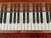SUCHE Gebrüder Ammer Eisenberg Instrumente Clavichord,  Cembalo,  Spinett,  Spinett