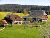 Familienurlaub auf dem Mooshof