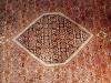 Orientteppich Bidjar 3,  7 Mill. Knoten Top. T058