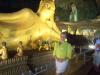 Flotte Biene sucht Willi 