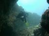 Tauchen auf Teneriffa mit Ocean Trek,   Playa Americas