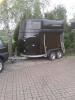 Pferdeanhänger, Böckmann, Vollpoly BIG MASTER EZL 9/ 90 TÜV neu  4/ 16 