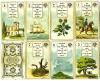 Lenormand-Wahrsage-Karten No. 2 von Dondorf 