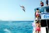 Travel for work & party - Dein Sommerjob 2015 auf Mallorca