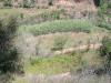 Zwischen Algarve und Alentejo idyllisches Grundstück für Campingwagen oder Holzh
