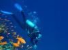 Open Water Diver - kompletter Tauchkurs,  keine Zusatzkosten - Tauchen lernen