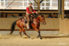 Westerntraining & Beritt 