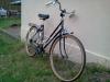 Peugeot Stadtfahrrad