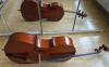 Cello mit Fall,  ca. 100 Jahre alt