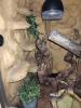 Mix Boa Constrictor Ecuador