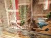 Terrarium 120x120x80