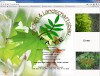 Customized Webseiten ab 99, 00 €