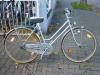 (142) 3 Gang Rücktrittsbremse 28 Zoll tiefer Einstieg ROTARY