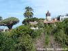 Teneriffa,  2 Wochen **** All Inclusive,  Flug ab 776 €