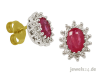 Klassisch eleganter Ohrschmuck,  Ohrringe,  Ohrstecker,  Diamant,  Rubin Edelsteine, 