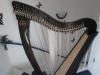 Harfe Dusty Strings Ravenna 34 kaum bespielt 1 Jahr alt