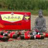GINSENG ROYAL JELLY HERBSTAKTION – NUR NOCH KURZE ZEIT!