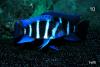 Blue Zaire 