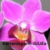 Kartenlegerin JULIEa ehrliches & treffsicheres Kartendeuten m. 25 J. Erfahrung, 