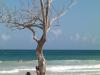 Tauchen in Diani Beach Kenia,  buchen Sie einen Urlaub in Kenia