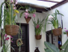 Appartment auf Teneriffa