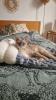 Devon Rex Katze sucht Neue Zuhause