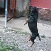 Bea sucht ein Zuhause