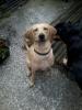 Stella sucht ihre Familie