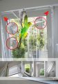Kippfensterschutz für Vögel,  ohne das Fenster zu beschädigen
