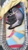 Elf/  Sphynx Kitten 
