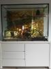 4 Kornnattern,  Terrarium mit Unterschrank inkl. Einrichtung 