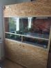 OSB Terrarium komplettset mit 2 Kornnattern 