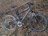BMC Fully MTB guter Zustand