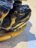 Wasserschildkröte Trachemys Scripta Scripta