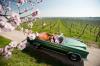 Oldtimervermietung Lörrach - Oldtimer mieten als Hochzeitsauto
