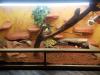 Suche Dringend Neues Zuhause