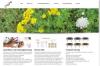 Responives Webdesign,  SEO und Kundenbindung durch CRM