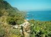Finca babon auf Teneriffa