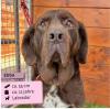 Ebba,  freundlich und verschmust