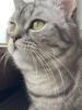 ?DRINGEND NEUES ZUHAUSE GESUCHT?