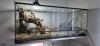 Kalifornische Kettennatter Lampropeltis Gettula Californae inklusive Terrarium