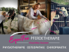 Osteopathie,  Physiotherapie & Chiropraktik für Pferde